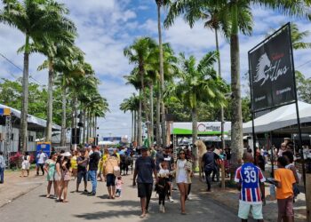 Parque de Exposição será aberto às 10h no domingo (6)