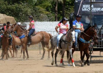 Alecrim Miúdo se prepara para a 38ª Festa do Vaqueiro nos dias 19 e 20 de setembro