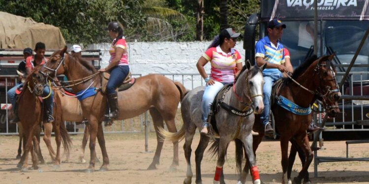 Alecrim Miúdo se prepara para a 38ª Festa do Vaqueiro nos dias 19 e 20 de setembro