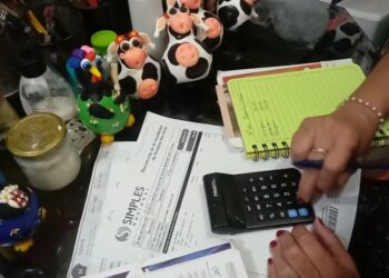 Mais de 636 mil MEIs da Bahia podem ser beneficiados por perdão de dívidas e aumento do limite de faturamento