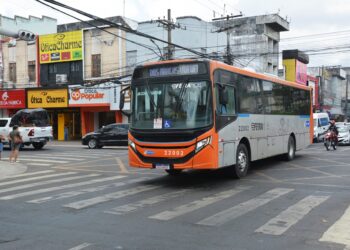 Feira de Santana terá frota de ônibus equivalente à de dia útil no domingo de eleição