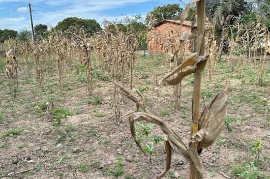 Prefeitura de Feira afirma estar em dia com o Garantia-Safra e amplia assistência à zona rural